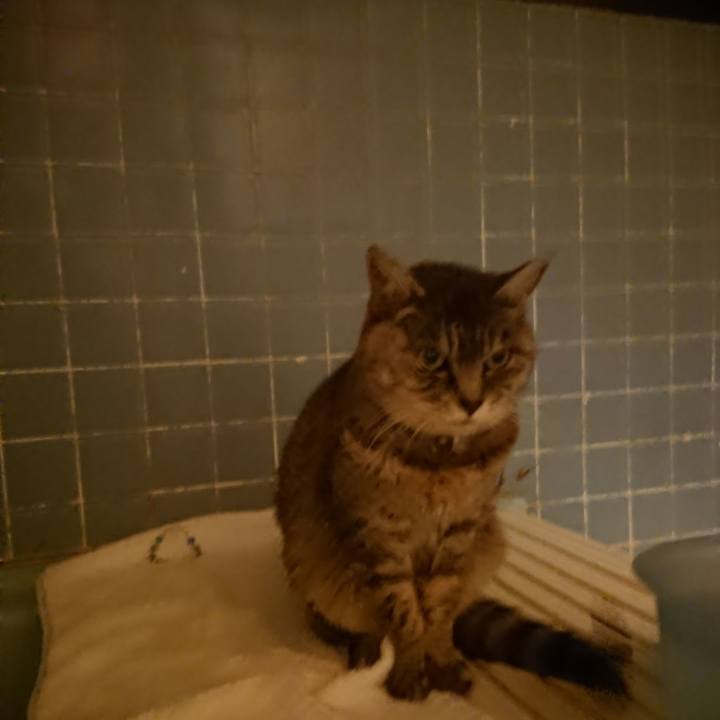 Aa96df95 9972 43c9 94db 23694c40bc4d 1574241125601