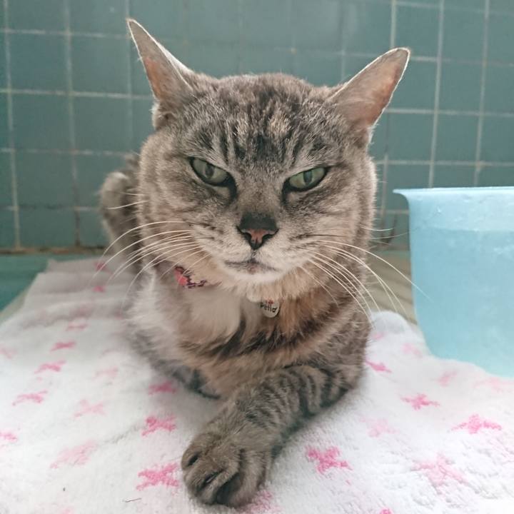 Aa970684 fb07 4b54 934e 4c19d298e219 1594458505257