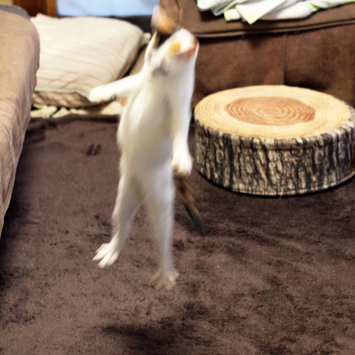 Aa976b67 748b 4e03 a888 bc905f2e2d5c 1542190271552