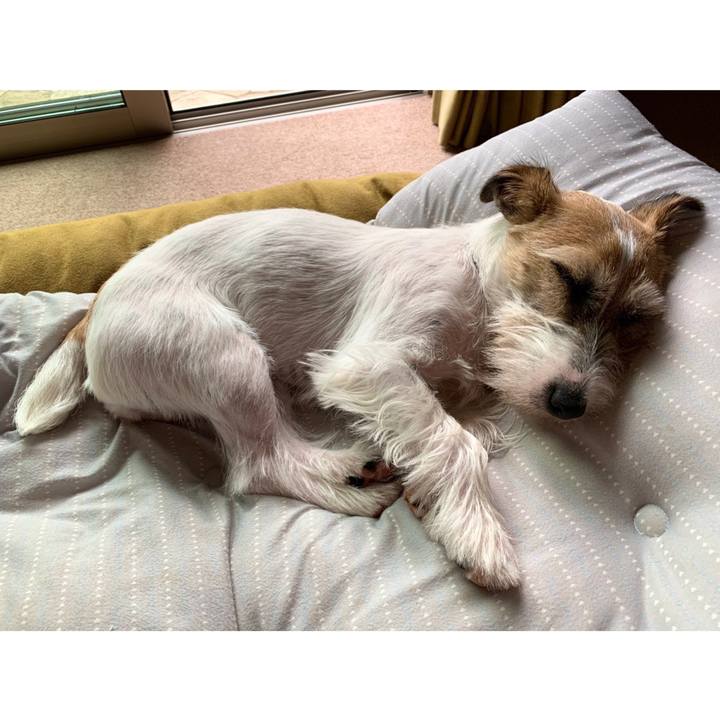 Aa97722e 3915 46dc 8678 6ac9a775482a 1592459198091