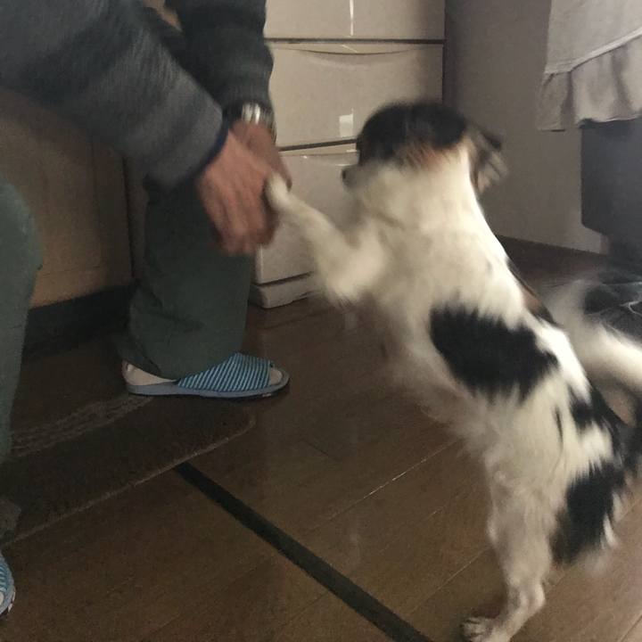 Aa978b6a f180 400e a084 2e4c775b99ee 1512657042756