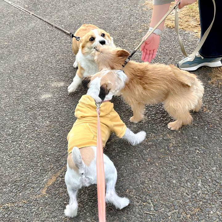 Aa978fc4 4d6d 4f34 aea9 e9858e10f471 1713620875605