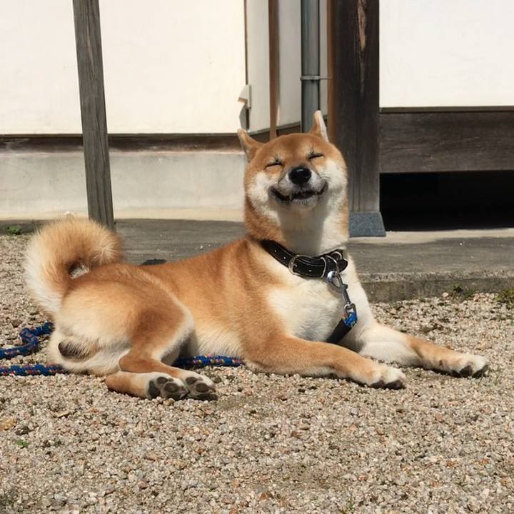 Aa97c4ae 0d48 4c08 8015 4fcf905c4d07 1508988715744