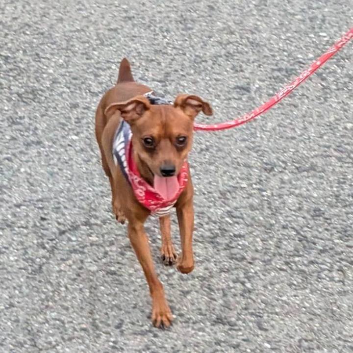 Aa97ccc7 533a 4656 a6a7 02393e5810e2 1726481074341