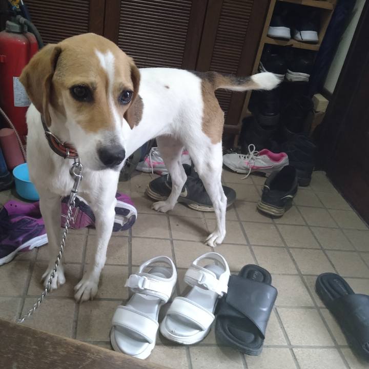 Aa97ef50 2574 4b20 a508 e1b8a2534654 1626335562718