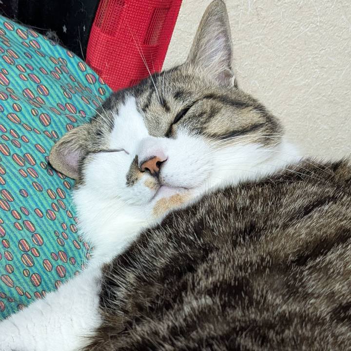 Aa97f264 0ac3 4cc7 b343 63b01839b006 1768532760287