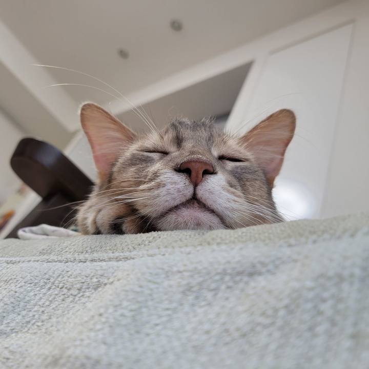 Aa9813e7 4ac7 46bb a716 07aa17371bb5 1632577080421