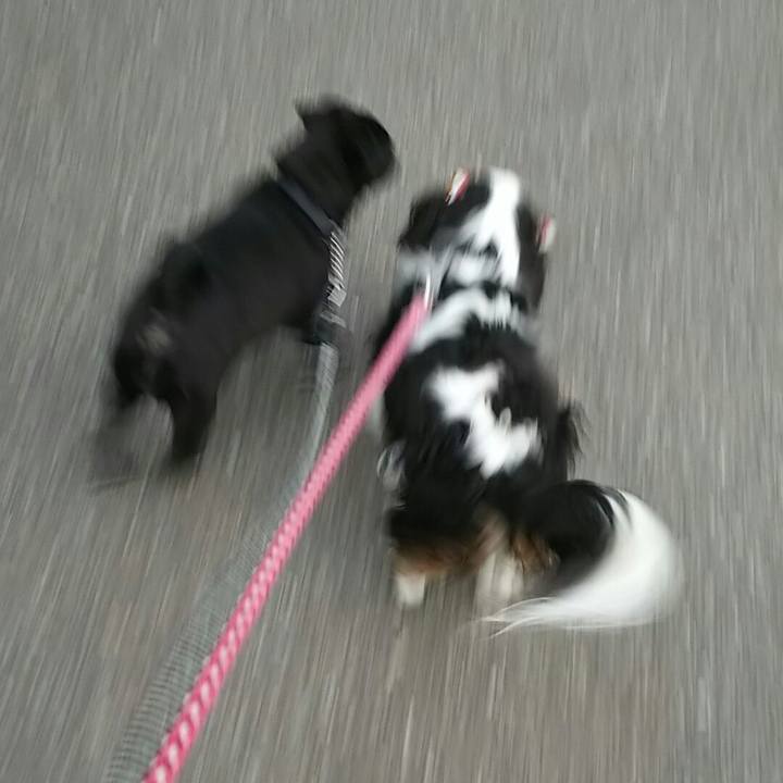 Aa981d56 ed8e 4cfa a34c 221f9a8f7926 1539336961285