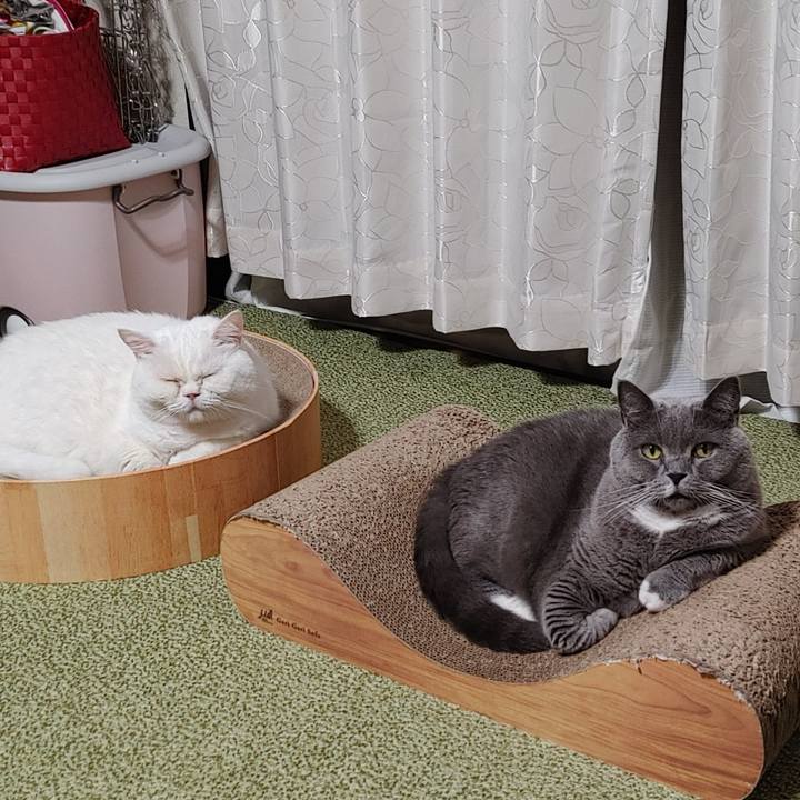 Aa982a22 f7fb 408f 8095 98ac2896e4e3 1665056443996