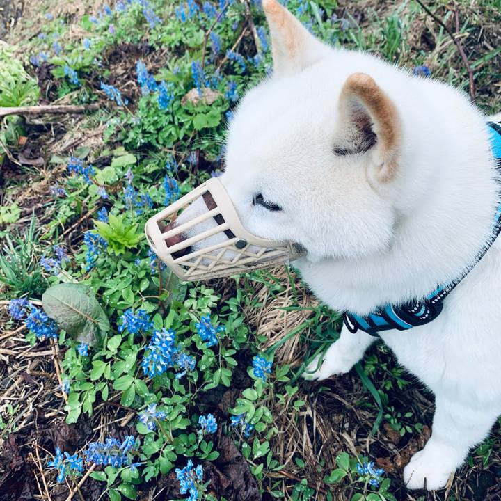 Aa983d6f 8f12 492b b784 2e0340487412 1681857076714