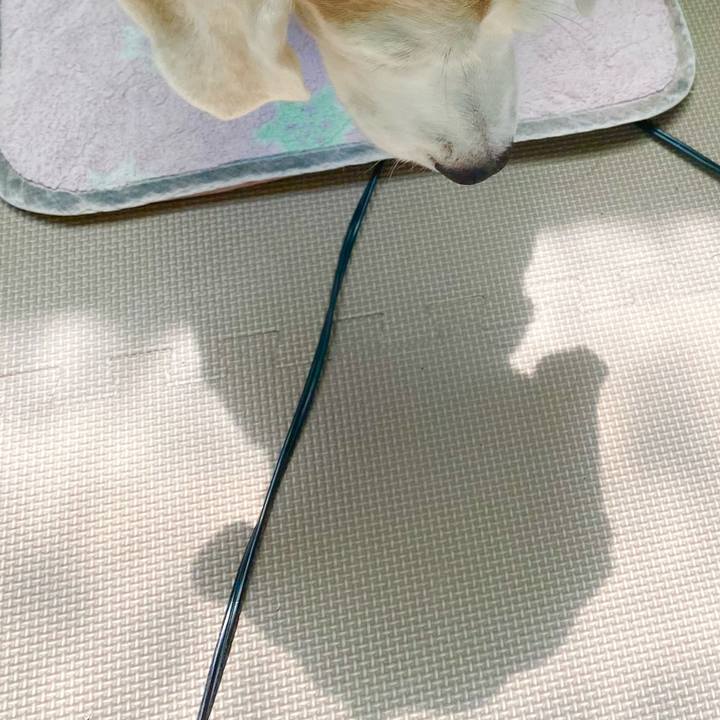 Aa98a68f 01a5 4970 a819 3bd58d92f9fe 1660880415009