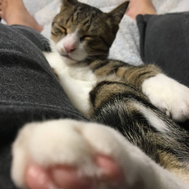 Aa98c2c0 491f 4bd4 9157 1804d512cc15 1669819263632