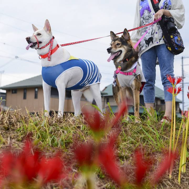 Aa98d915 35fa 41b5 bb9b 701498527a8e 1537719313206