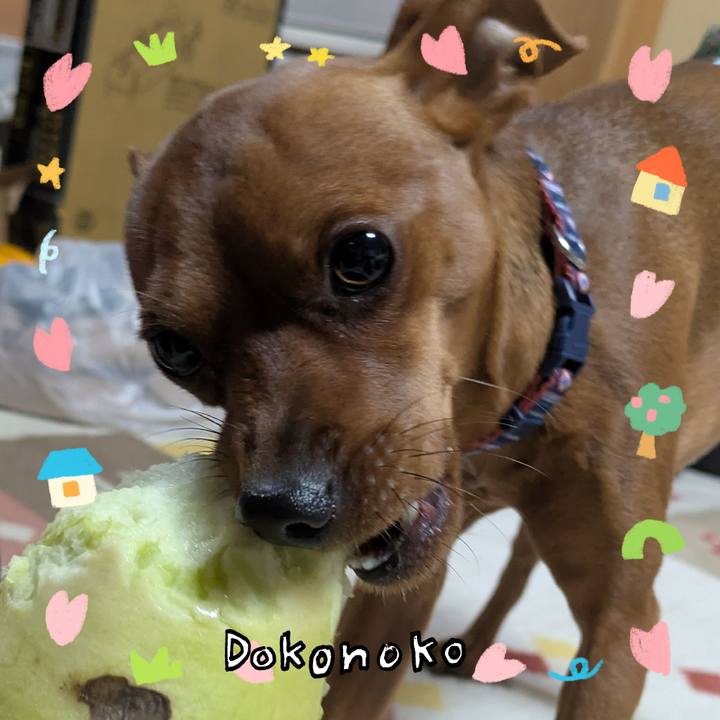 Aa992a4f b96f 463c bde3 b68abd93a04d 1741618129503