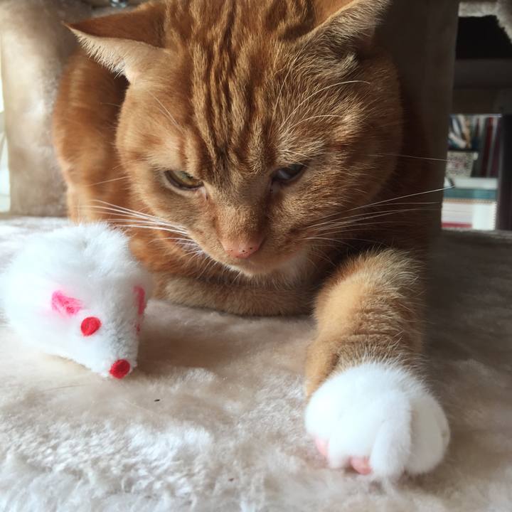 Aa9970d8 dc2a 4325 9ca4 9972284387c1 1577836089413