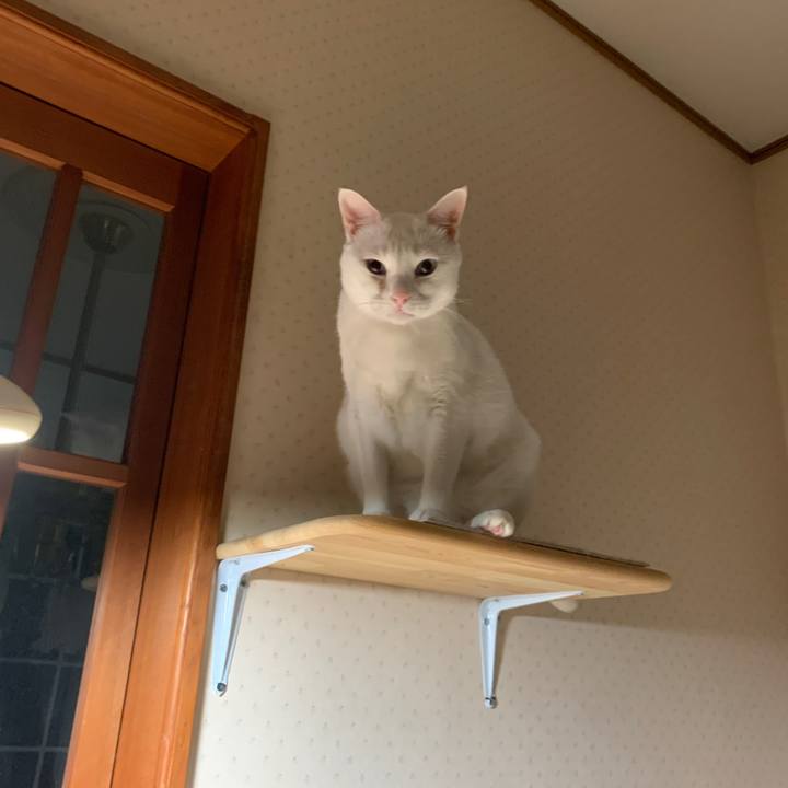 Aa999bc8 748a 481c bcde e83c76eeebbc 1668629439637