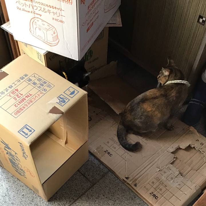 Aa99a3c2 4620 4607 9bac 0373cf77d4ec 1647064656500