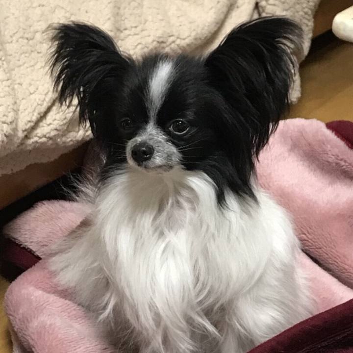 Aa99b743 092f 4ec2 a1bd 18d8c41b1012 1517371992241