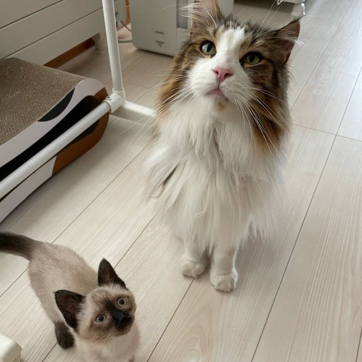 Aa99cbfc eb2d 45f0 8019 7eb0009f8f1d 1688849303146