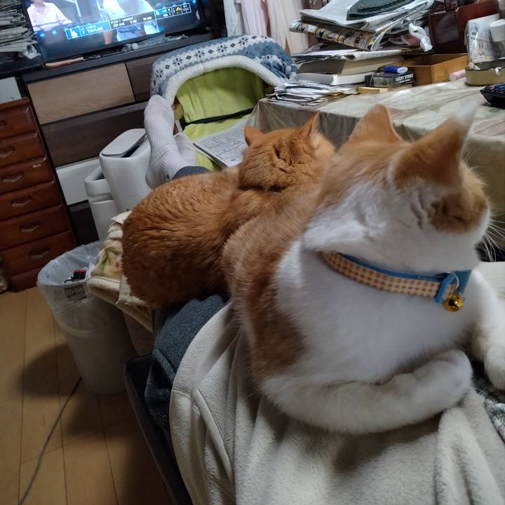 Aa99e02d f27b 4942 bd0e 918711ef7e43 1735801499518