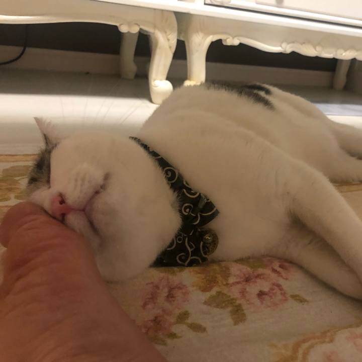 Aa9a56ec ef68 4234 9800 1e242d3ca8f1 1597754108836