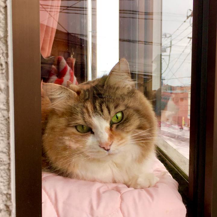 Aa9a5803 6b24 4169 9fe3 113044386829 1588755801992