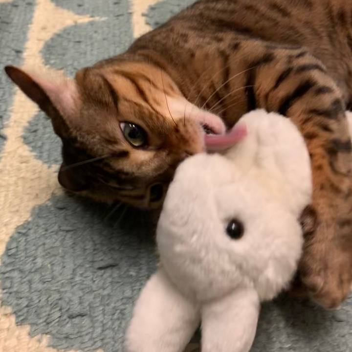 Aa9a7d1d 65f9 40c8 a167 0941d308b459 1570138631643