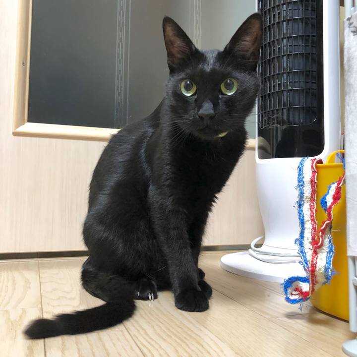 Aa9a91ab acc3 4955 a2fd efb9ef002000 1595940019224