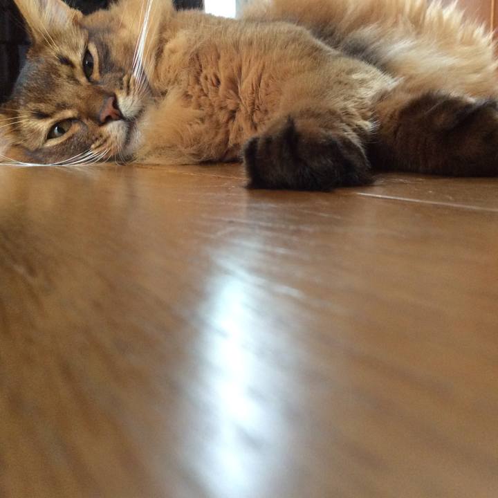 Aa9a9ce7 a955 4f19 97fa 9e545c582f06 1600997322149