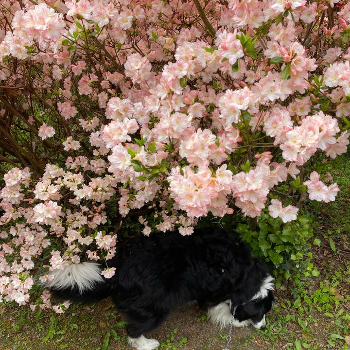 Aa9ae520 5a8f 4eaa 9749 ea5f54d8d99e 1650255335653