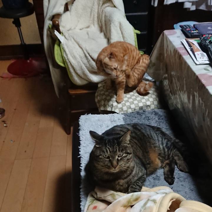 Aa9ae650 11d9 44ce a949 fc34d903770f 1642759576837