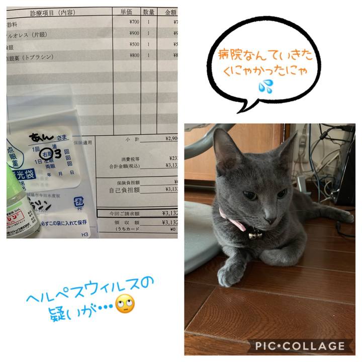 Aa9b029e 65fb 461a 8b15 ebdb7835d2b9 1568344252606