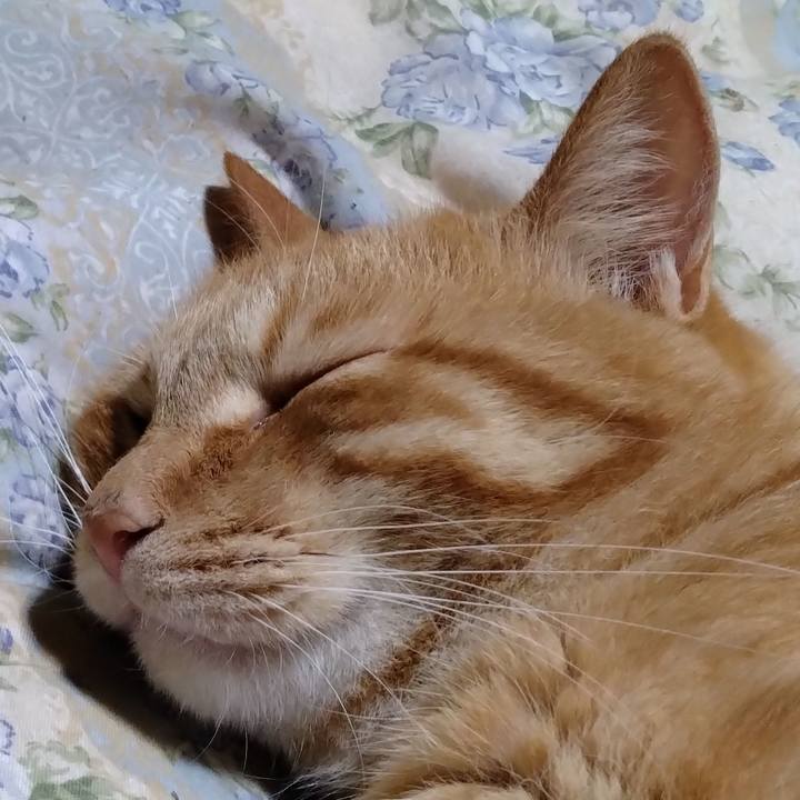 Aa9b2001 f73d 4ea0 86f7 c6e3dbafda6b 1665841747664