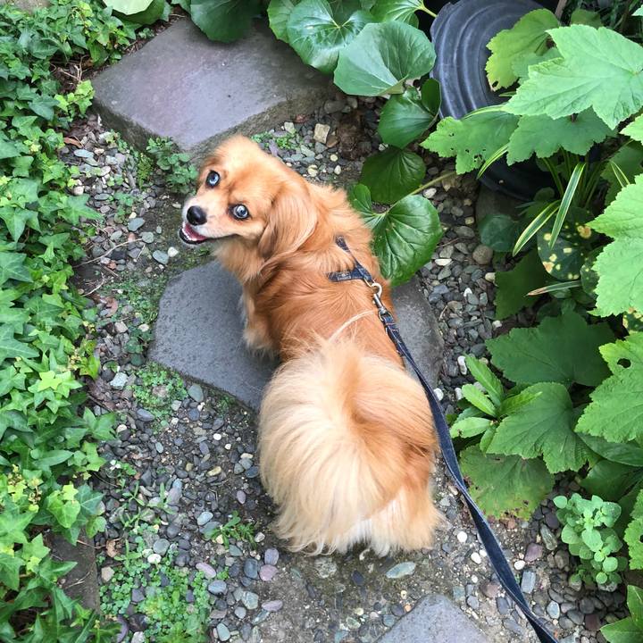 Aa9b2590 158a 4f3b af45 8044e2fd34b8 1531863842349