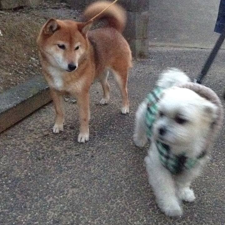 Aa9b27b7 44d5 4e8f b54e bd84340150cb 1516005071490