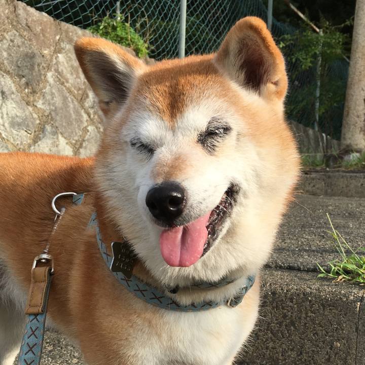 Aa9b6454 66b8 48bd 9581 4311b4802d54 1536189524708