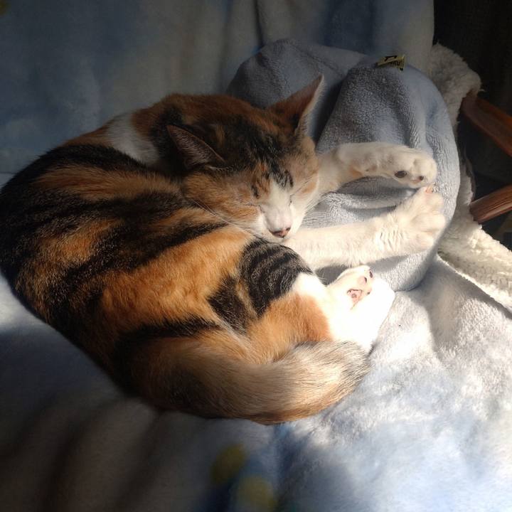 Aa9b865d d86d 4edb 9075 65ac807c3ab2 1742788200091