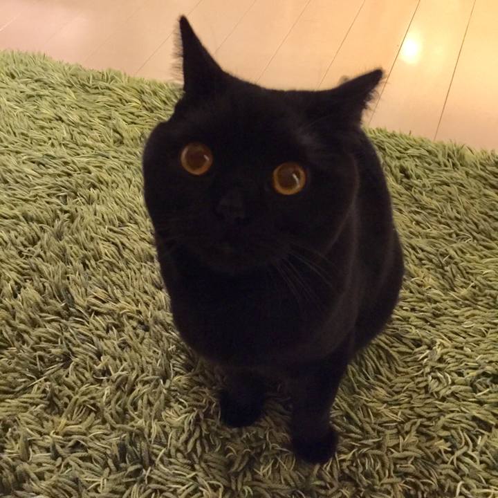 Aa9bc3ab 8803 4291 a6d8 16727b5fbd62 1519031155628