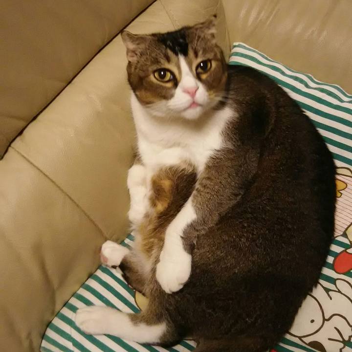 Aa9bd05d f692 48cc 891c 62061b367c30 1537186303426