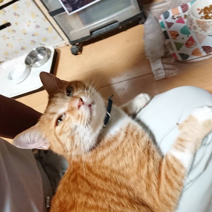 Aa9c3e27 5826 4096 b928 23edc138f66b 1599815265671