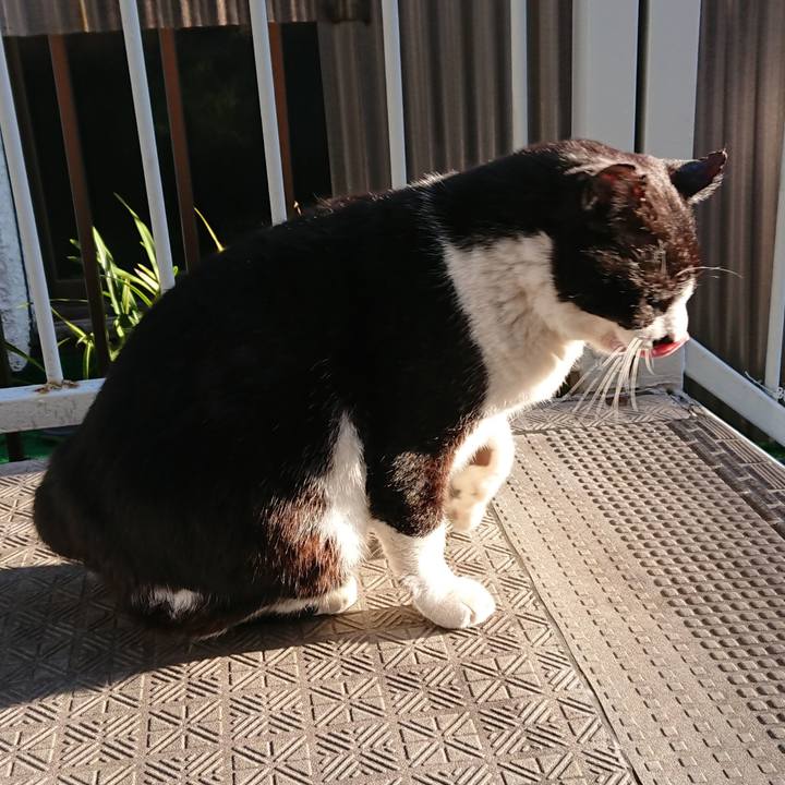 Aa9c4d00 0c73 48fb 8297 c171df010cd7 1585092267577