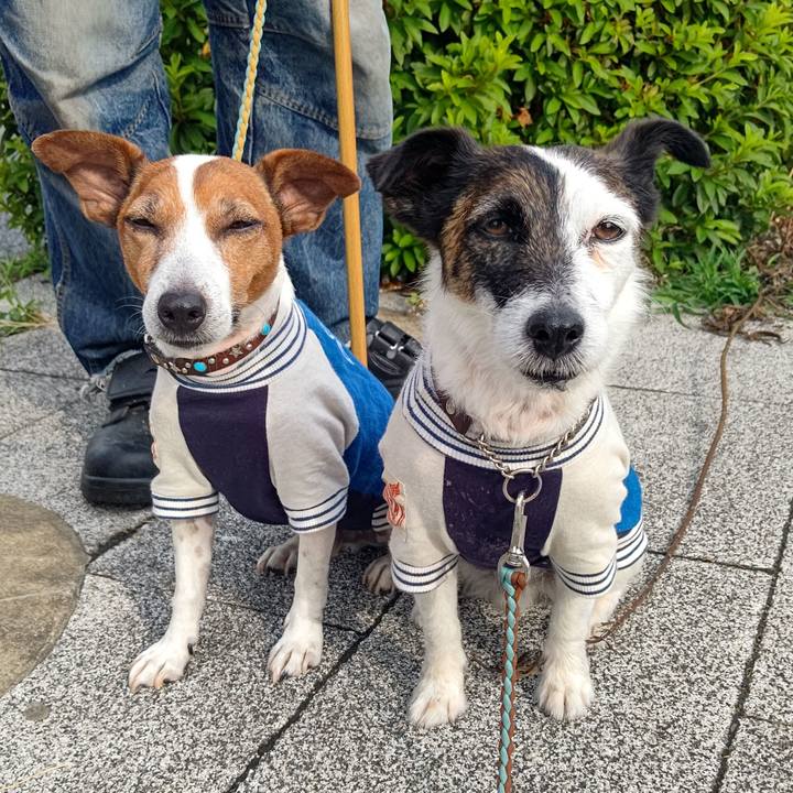 Aa9c62e1 9f08 423e 8225 f32f40f21c9c 1718580019714