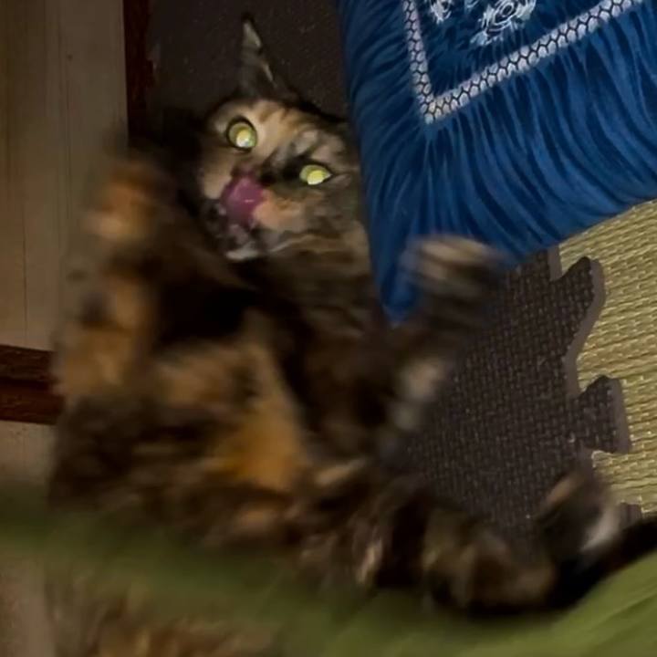 Aa9cc8f4 bd18 4598 a417 61df4a28109a 1745782242367