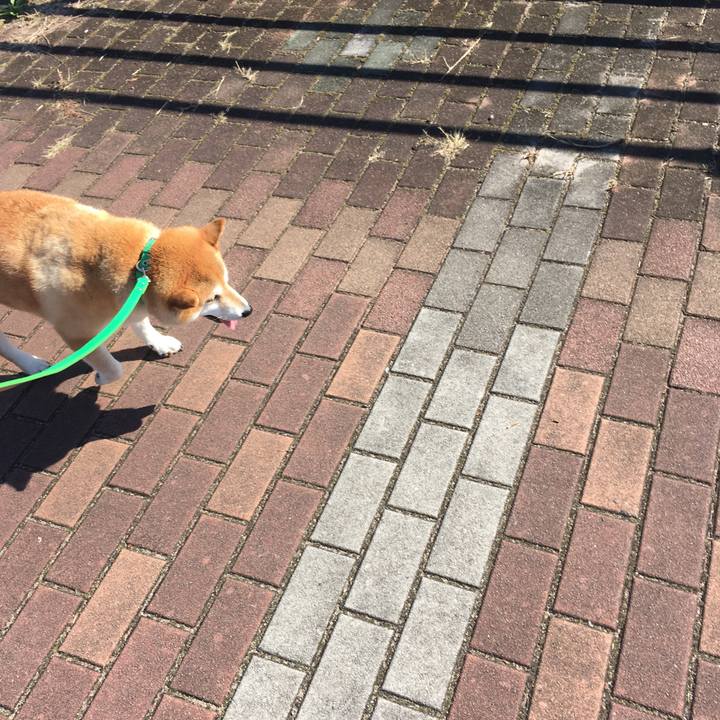 Aa9ce830 30e2 424d 9e53 15b25fea0aa9 1603693404687