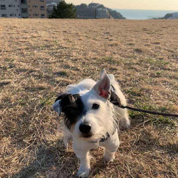 Aa9cf9ea 7d3c 40ef af4a a0ebf33c40a2 1676618603455