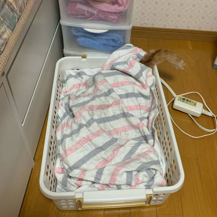 Aa9d1641 28cd 4491 940f 0793754121e9 1579234500911