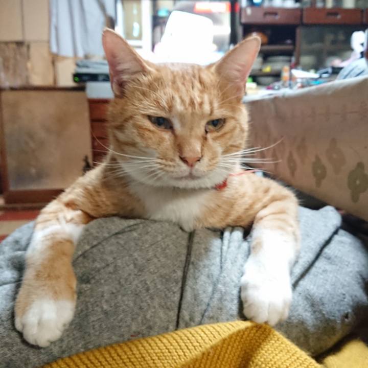 Aa9d1f0d ae0c 4d82 b9d8 1c887bf5a3a4 1572004361712