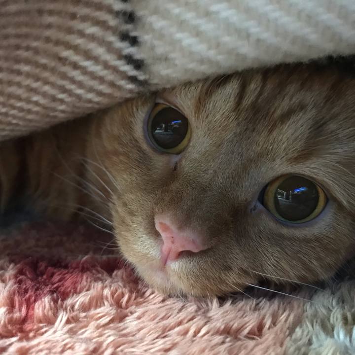 Aa9d250f 7f6b 49b3 bf87 19e2a76440b0 1587182623459