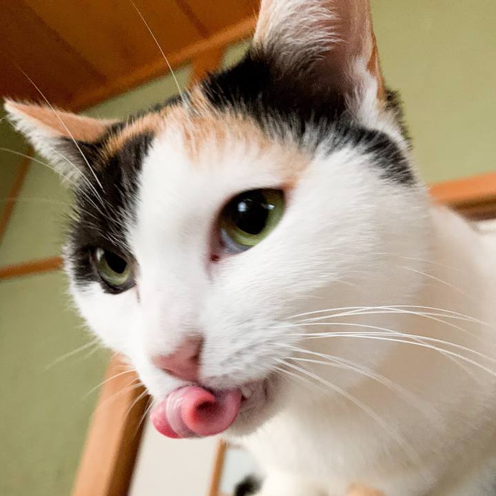 Aa9d51cb 2582 4bea 9f0b 0a6a114fb141 1546647734416