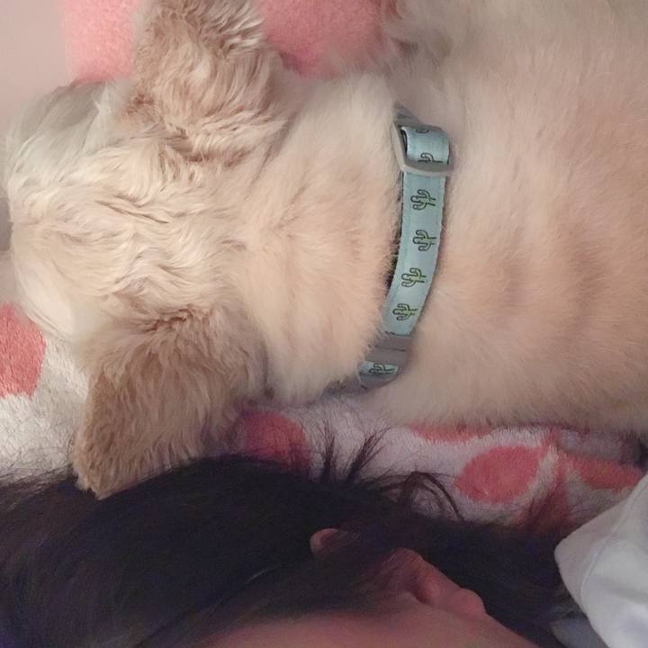 Aa9d527e e558 4104 8e33 6f588303800e 1556236169985